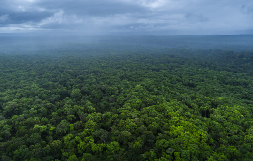 Aerial shot of Amazonian rainforest in the Potaro-Siparuni region, Essequibo territory, Guyana. The Essequibo region is the subject of a dispute between Guyana and Venezuela.