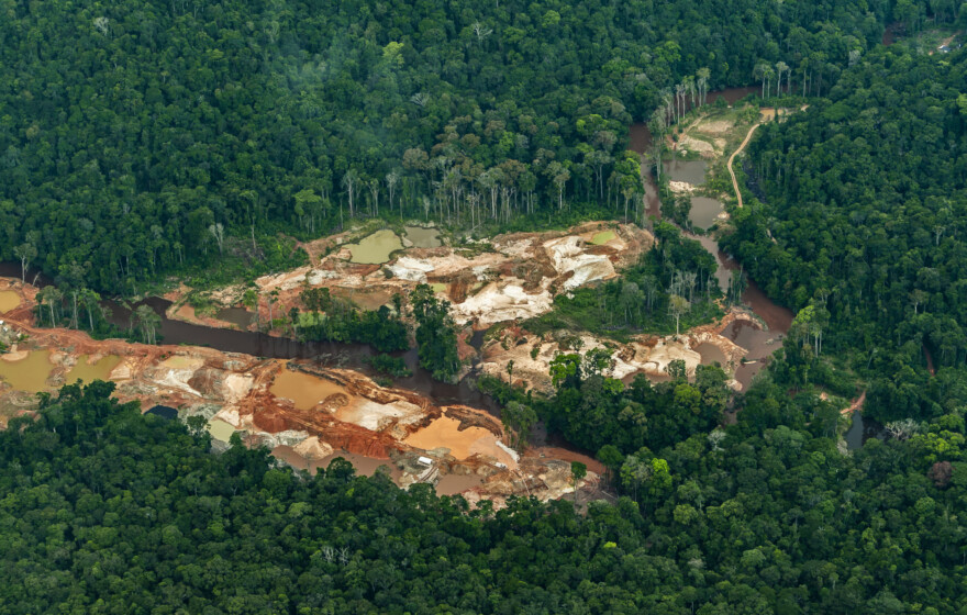 Aerial shot of illegal gold mining in the middle of the Amazon rainforest, Essequibo region, Guyana. Illegal and unregulated gold mining is responsible for the spread of malaria, human rights abuses and environmental damage including deforestation and the release of mercury into the ecosystem. The Essequibo territory is the subject of a dispute between Guyana and Venezuela.